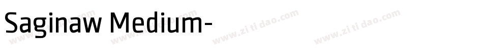 Saginaw Medium字体转换